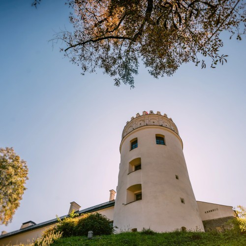 Kazimierzowski Castle